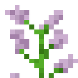 double_plant_syringa_top