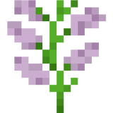 double_plant_syringa_bottom