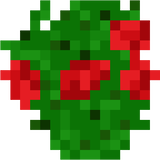 double_plant_rose_top