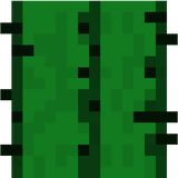 cactus_side