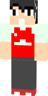 p1g_1