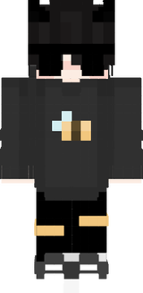 a playa bee