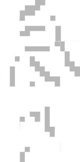 spinnennetz