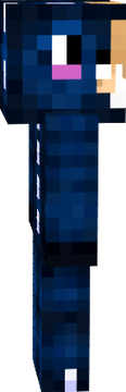 Heineecute