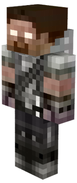 Skin 1