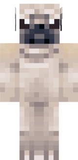 pug