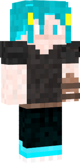 TheTerri