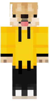 Antekk13