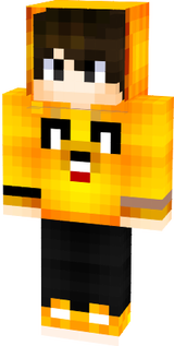 skin