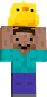 pollito