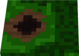 ant 2