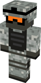 skin