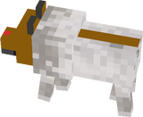 The first one