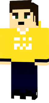 PI 741312