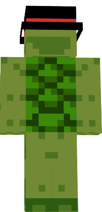Preview of texture: michael turtle