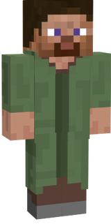 stevevillager
