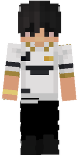mi skin