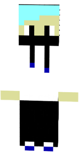skin minecraft