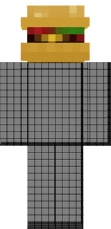 other hamburger