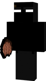 EnderSkin