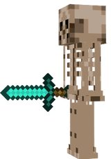 nn