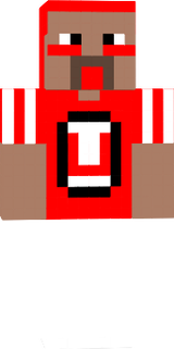 utah utes fan go utes