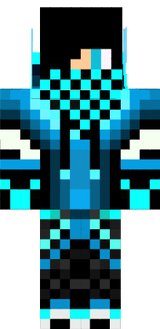 ninja sd
