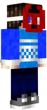 W1ZTER's Skin