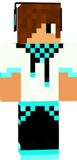 cheksatoger
