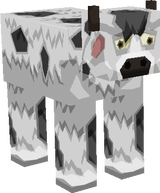 vaca