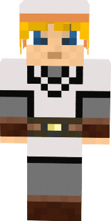 safe franks skin 2