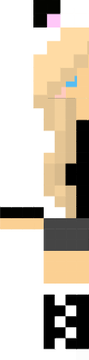 pandacraft