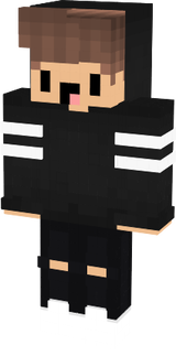 PVP BienRek
