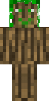 steve.png
