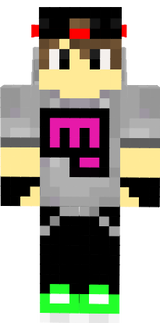 a skil