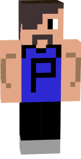 p3p4