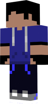 ZPIXEL 1