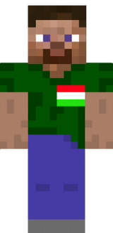 ZL-skin
