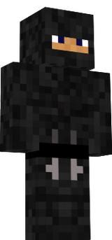 Ninja