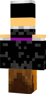 minecraft skin 1