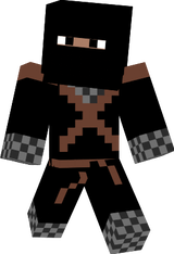 Ninja