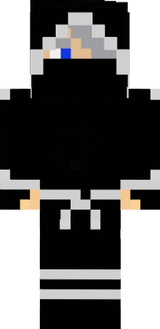 avihsim