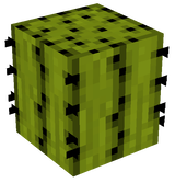 cactius