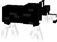 Preview of texture: Shadow
