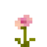 poppyz
