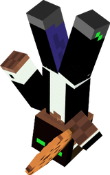 Debtorlp 