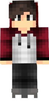 yPaladiixPvP