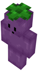 _Z3no_