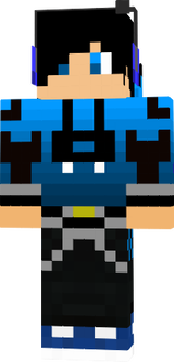 skin