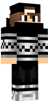 Skinv2